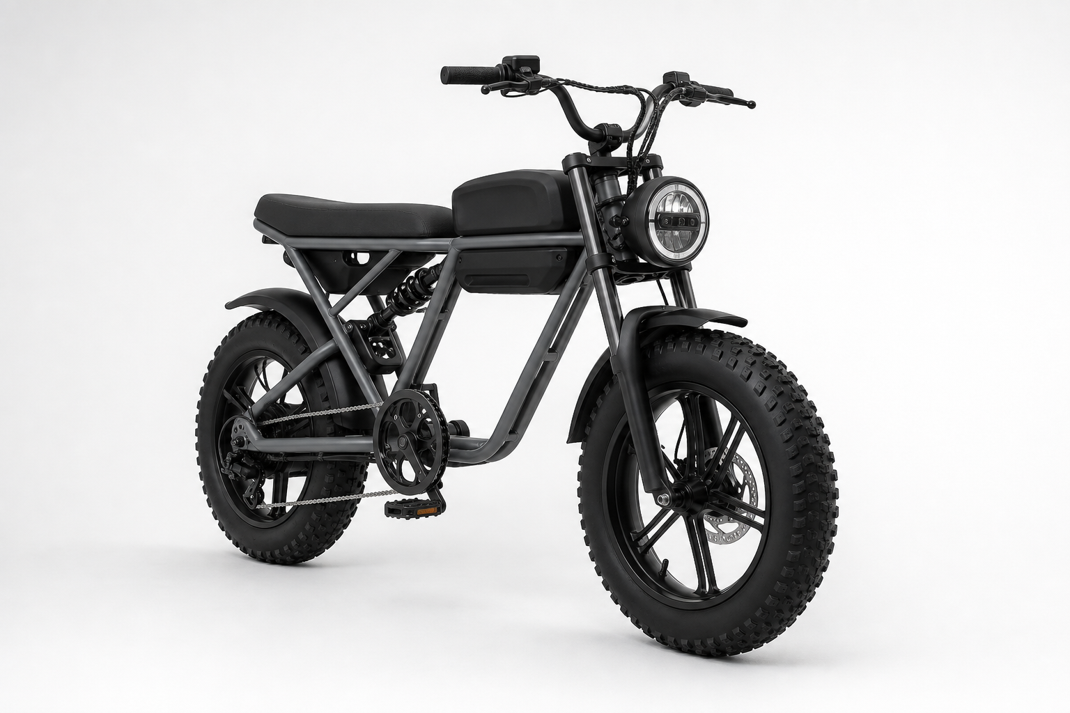 V20 Pro Fatbike